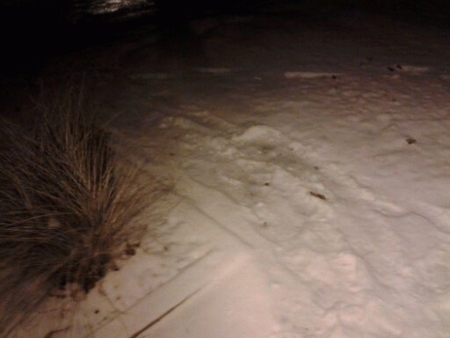 Sloth (USA-2) : 12​-12​-​13​.​.​.​18 Degrees​.​.​.​How Did I End Up in This Frozen Shithole?